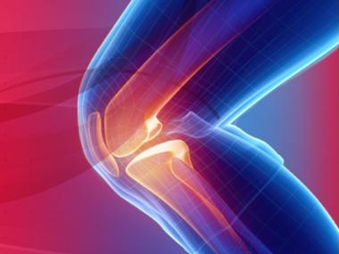 Orthopaedics Knee